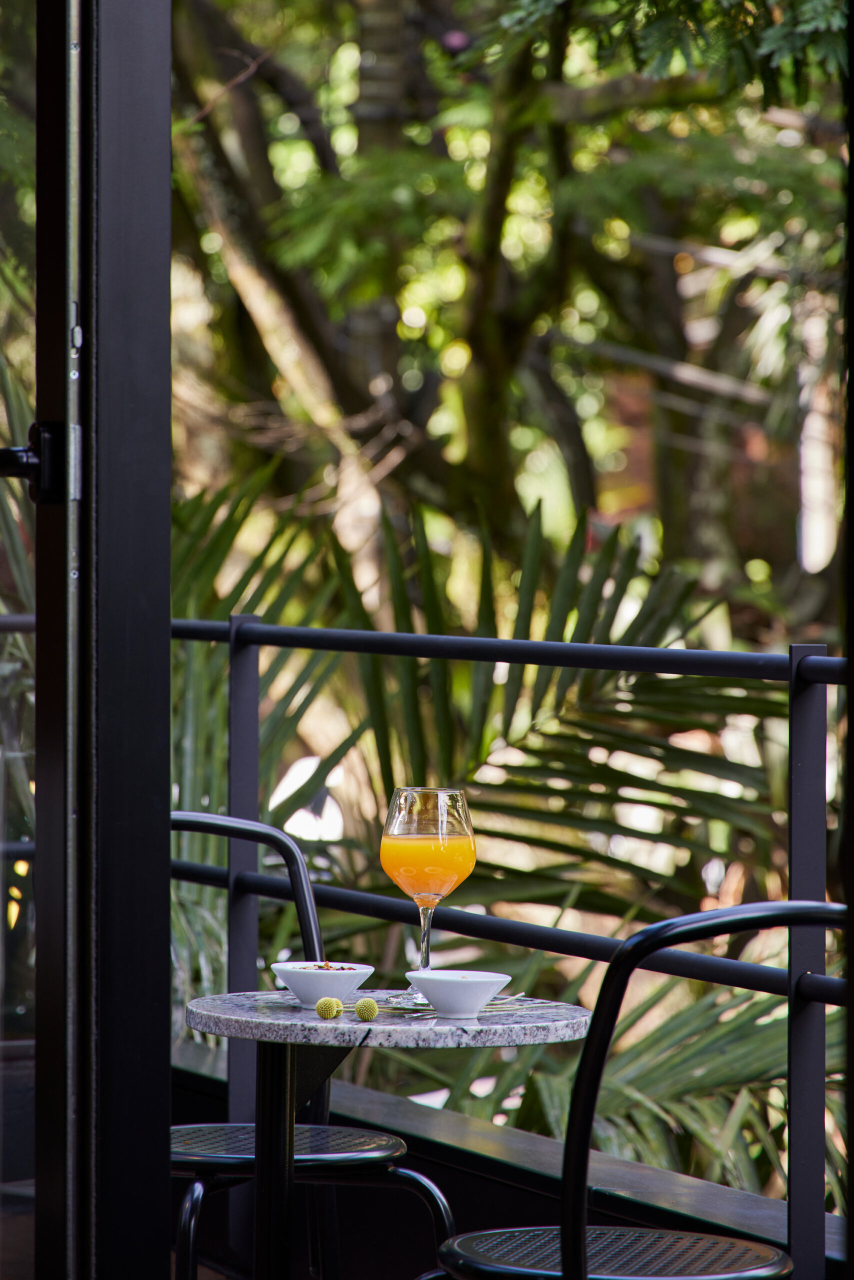 PAZ 301 - Tropic (14)