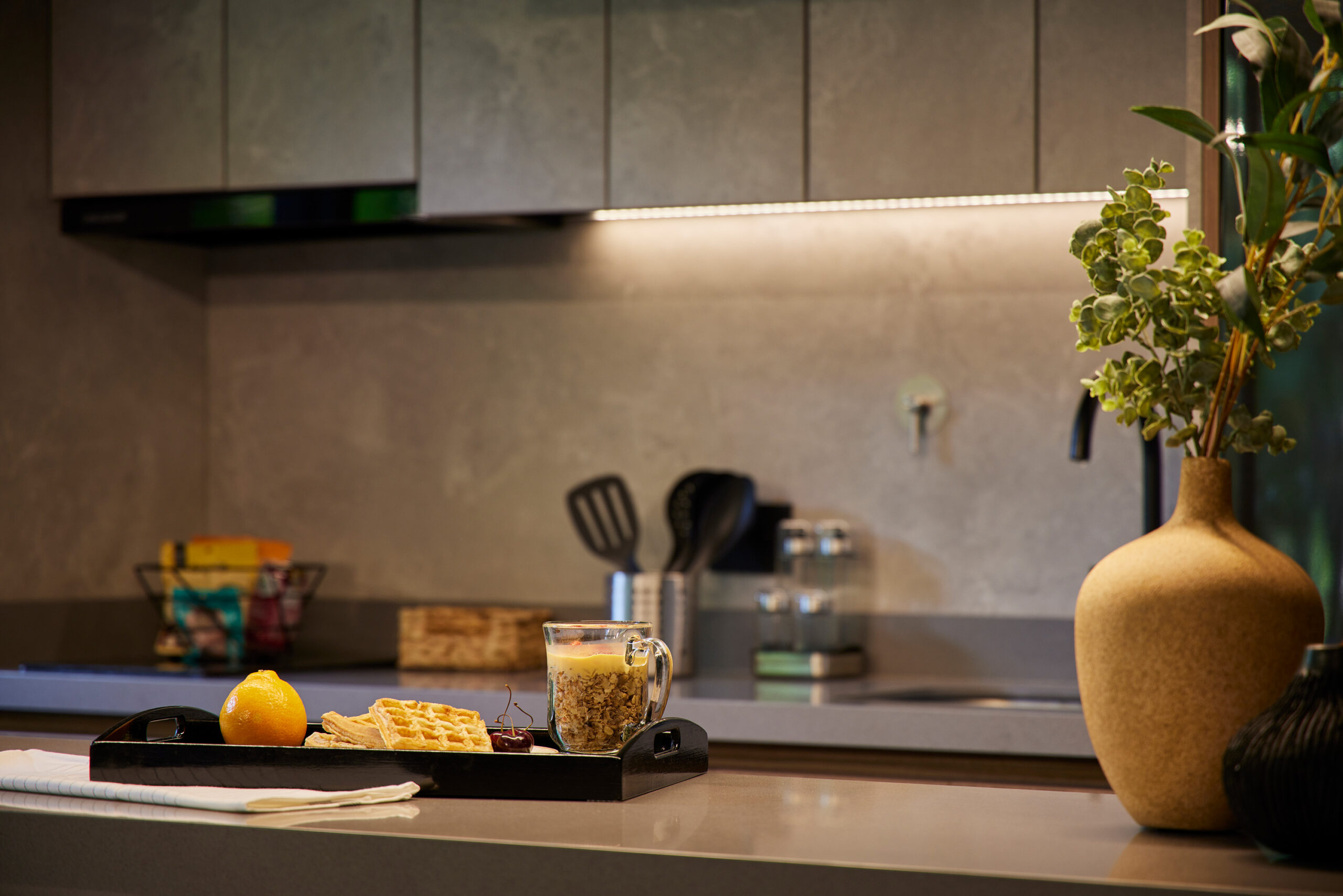 PAZ 301 - Tropic (16)