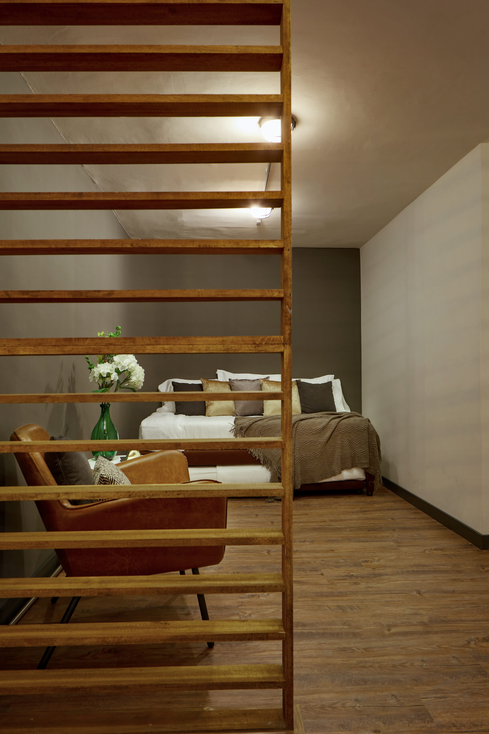 SanJoseApartment101 (19)