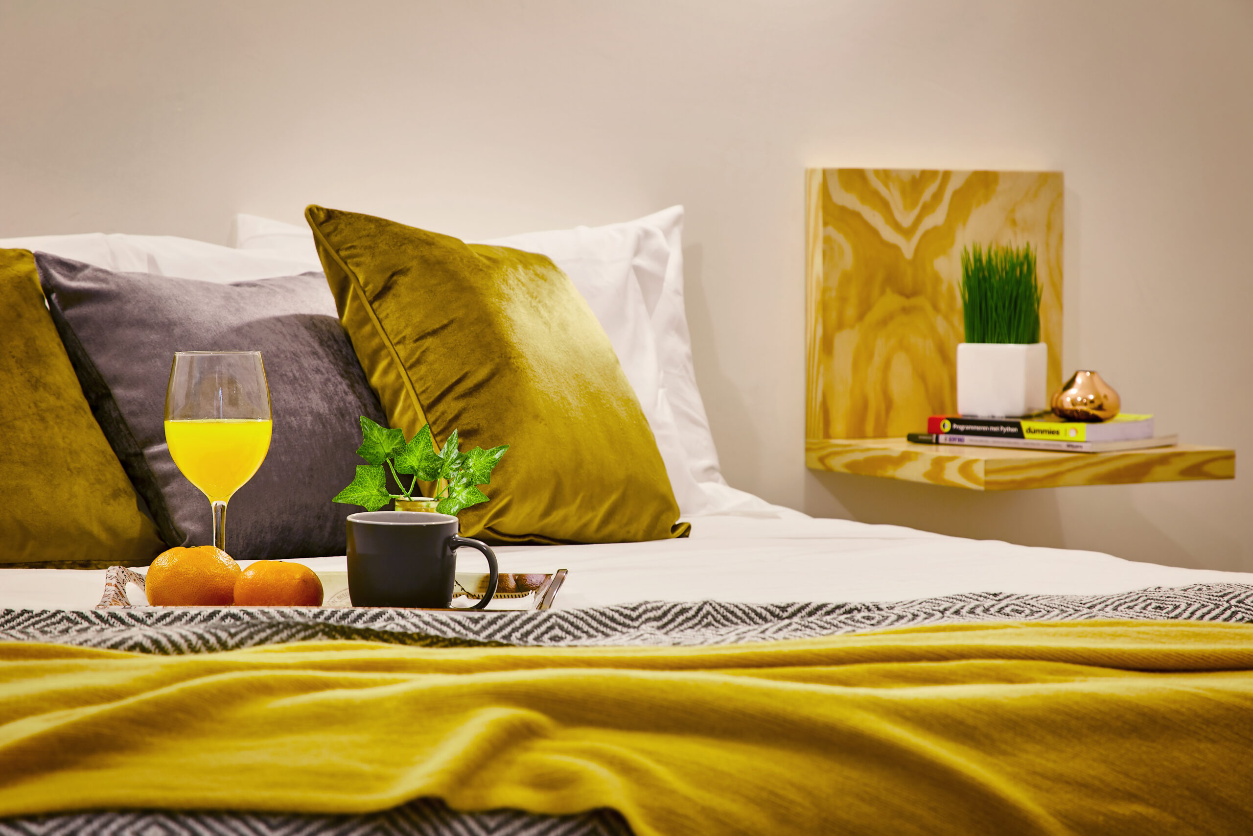 SanJoseApartment101 (27)