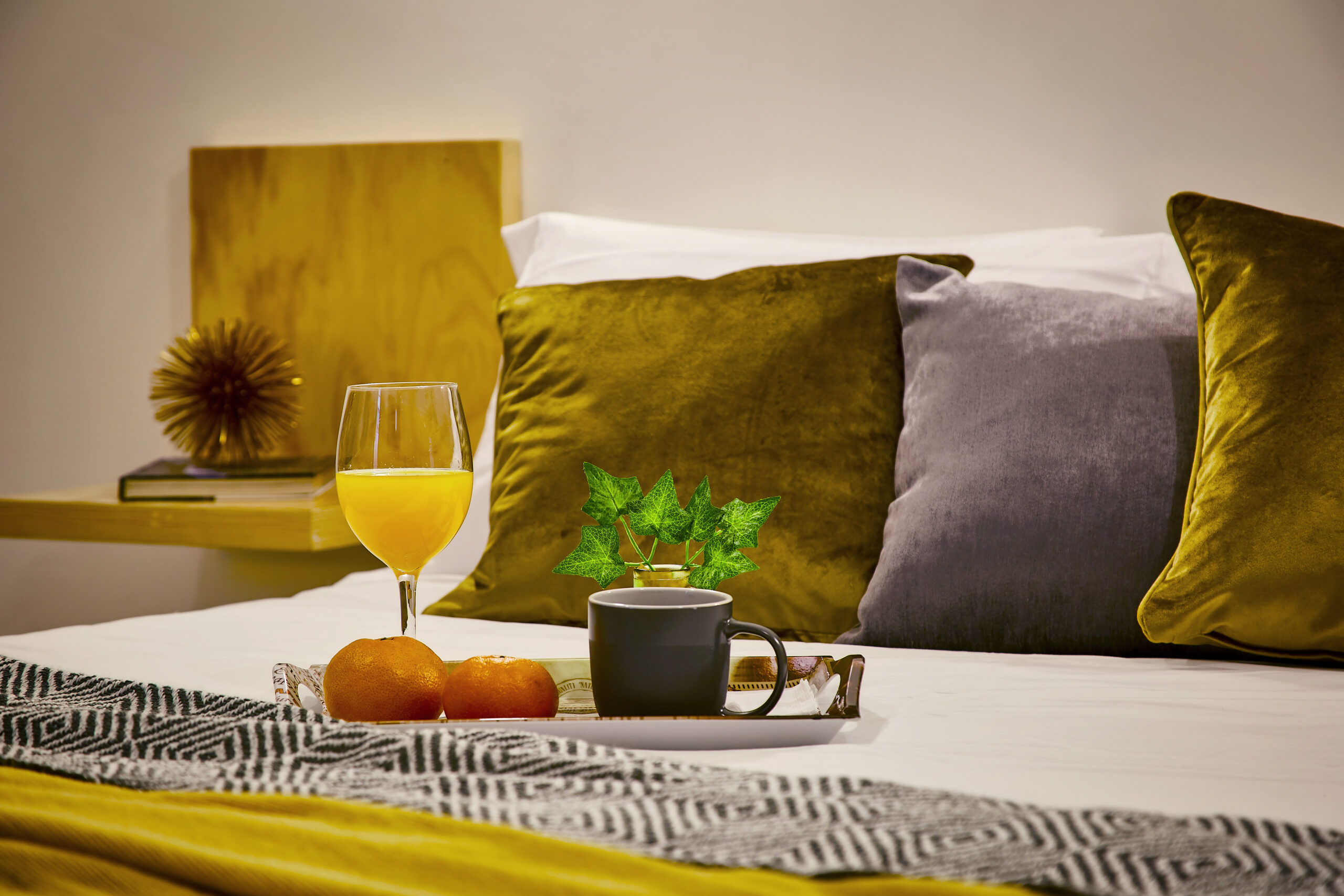 SanJoseApartment101 (28)