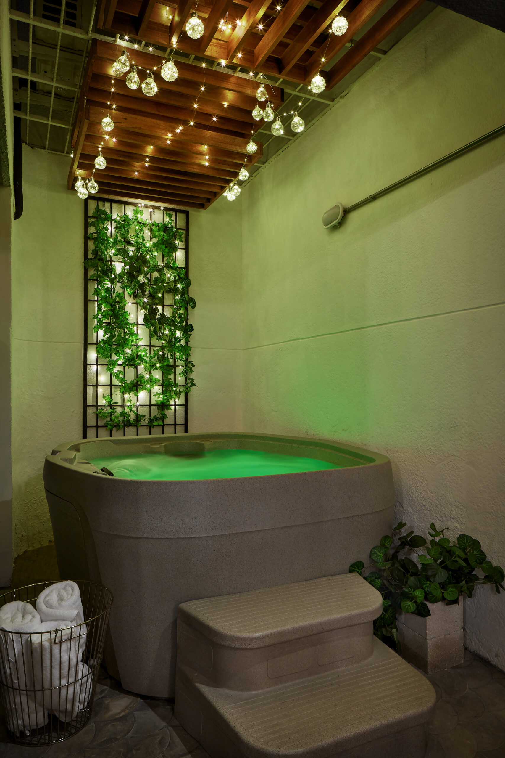 SanJoseApartment101 (3)