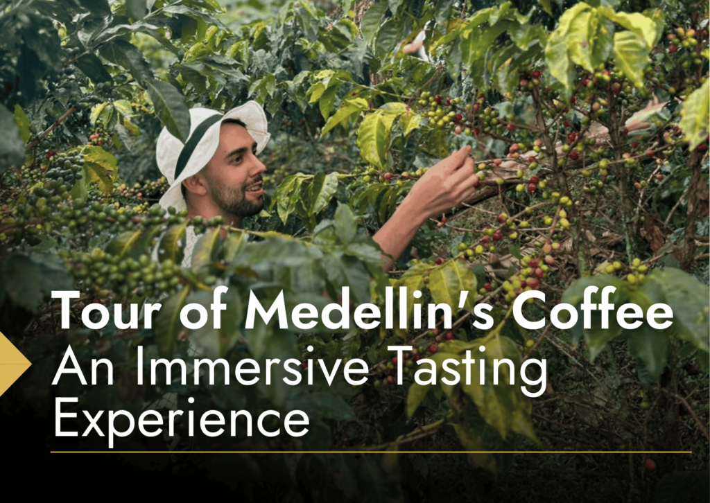 Coffee tour medellin