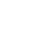 Medellin VIP logo