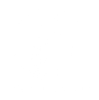 Medellin VIP logo